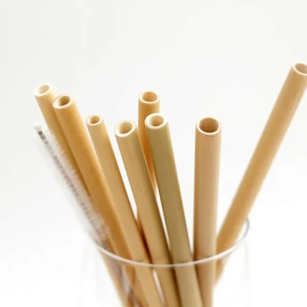 Biodegradable Reed Straws for Drinking